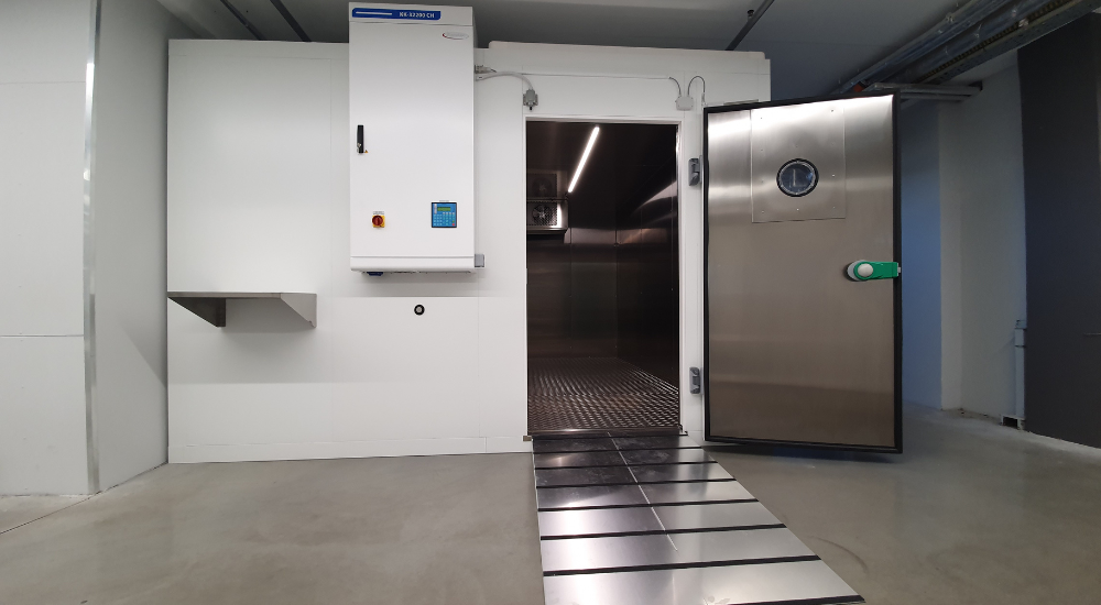 Custom Climatic Chamber Solutions: The Key to Pharmaceutical Quality and Compliance 