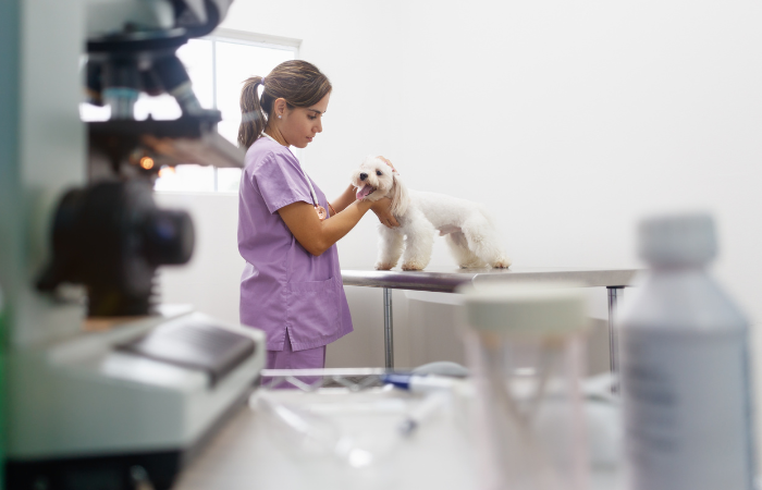 Veterinary