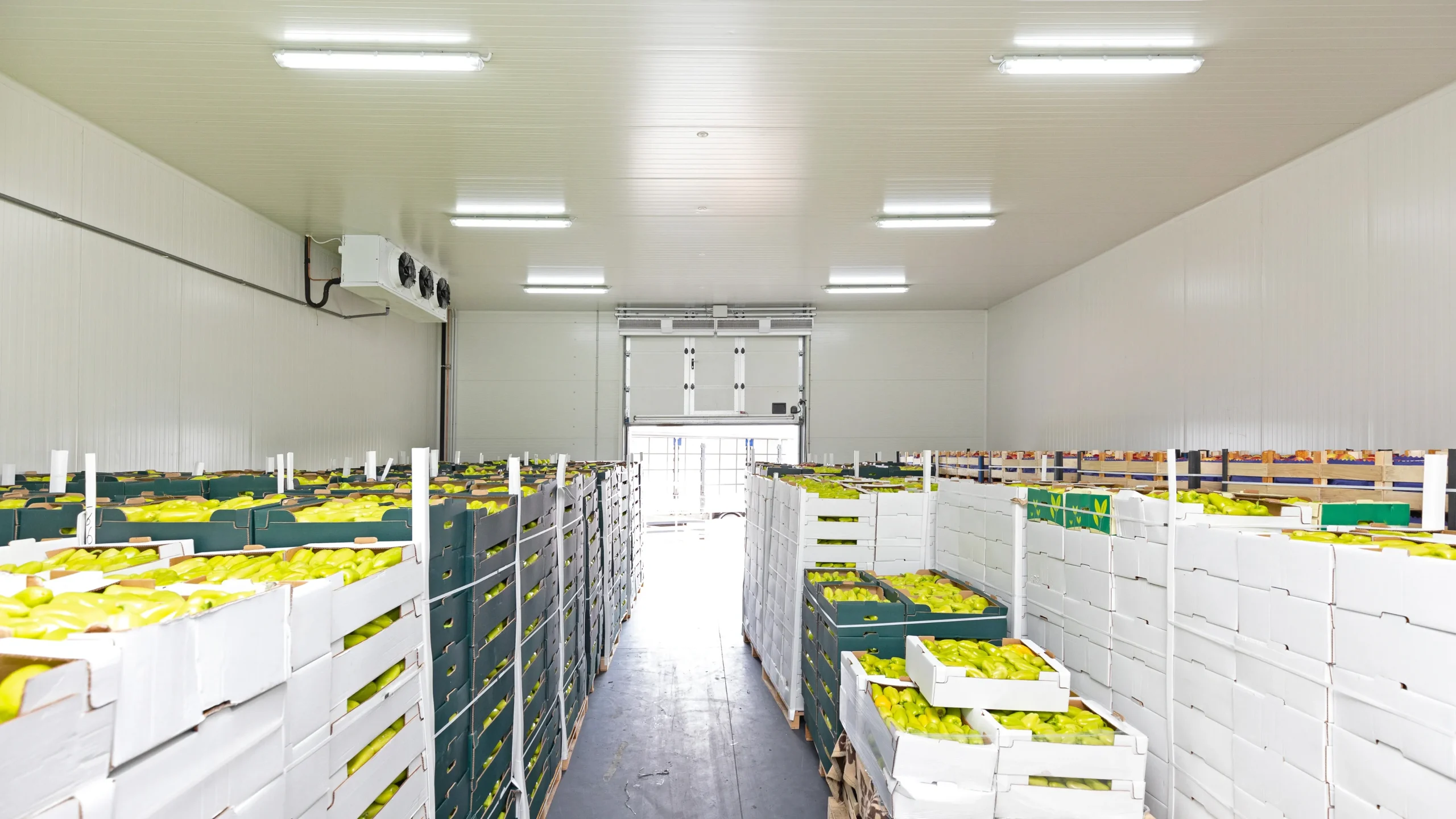 Cold Chain Monitoring