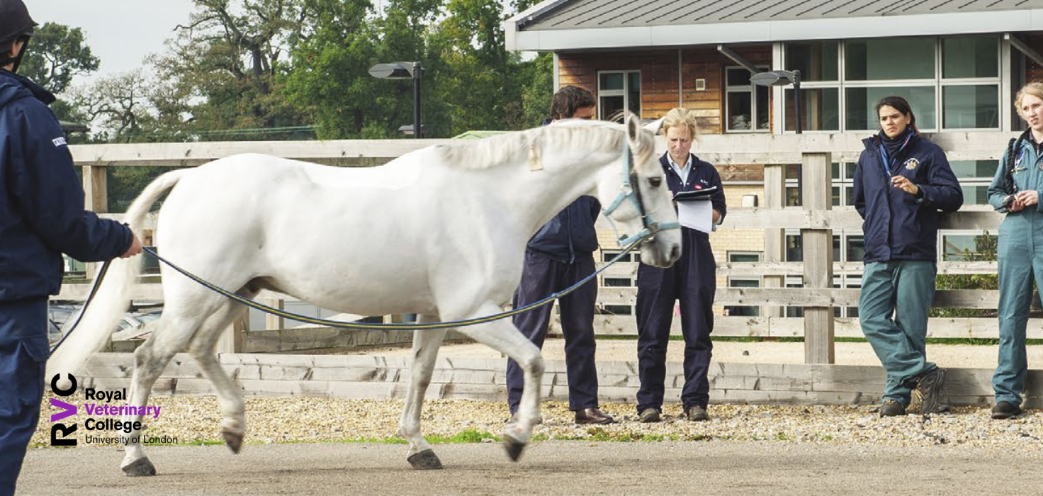 Case Study: The Royal Veterinary College (RVC)