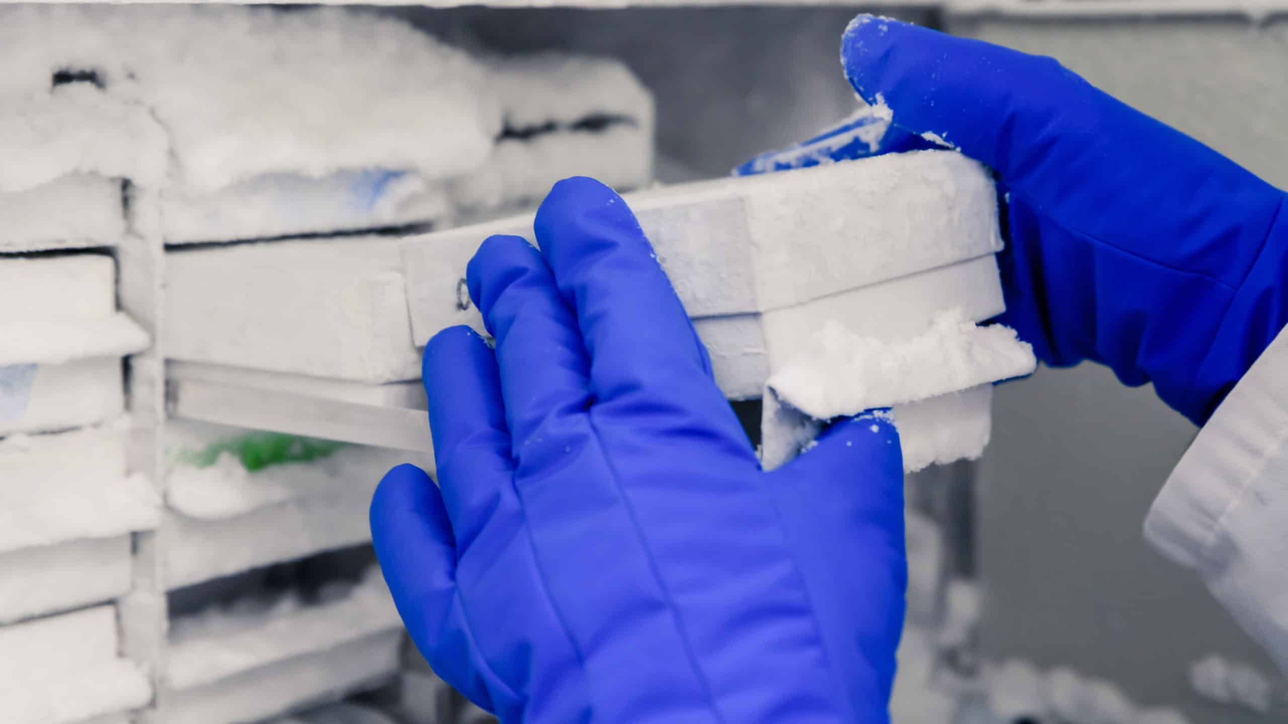lab temperature monitoring systems are vital for many industries, ranging from healthcare to calibration labs., and more.
